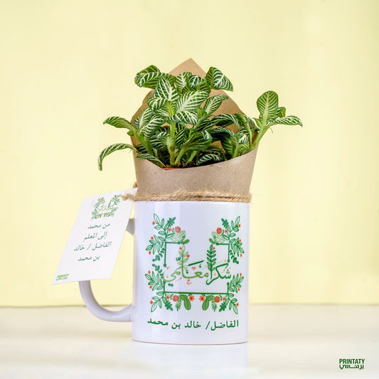 Gift for the teacher: a cup with a plant and a card